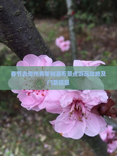 春节去贵州黄果树瀑布景点游玩攻略及门票信息