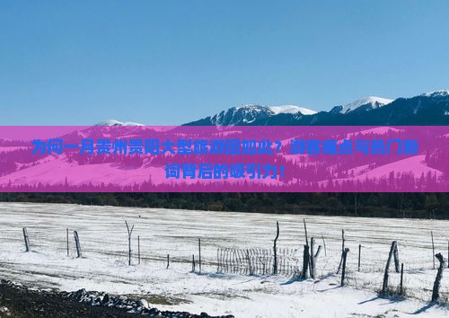 为何一月贵州贵阳大型旅游团如此？游客痛点与热门新词背后的吸引力！