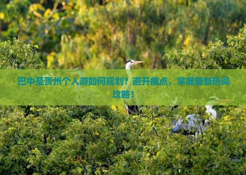 巴中至贵州个人游如何规划？避开痛点，掌握最新热词攻略！