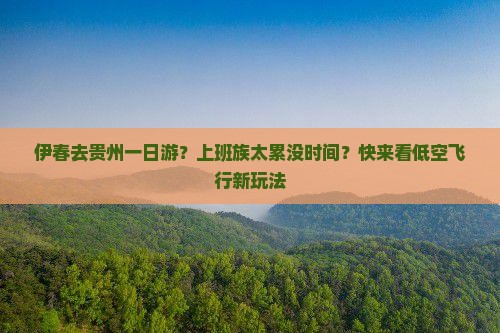 伊春去贵州一日游？上班族太累没时间？快来看低空飞行新玩法
