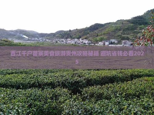 嘉兴去贵州西江千户苗寨旅游小吃 嘉兴去贵州西江千户苗寨旅游小吃
