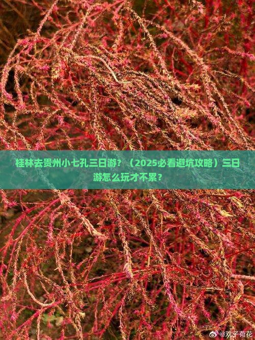桂林去贵州小七孔三日游