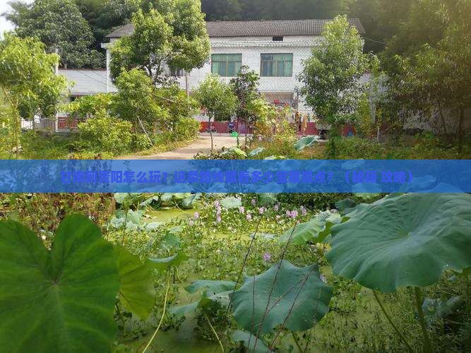 甘南到贵州贵阳景点