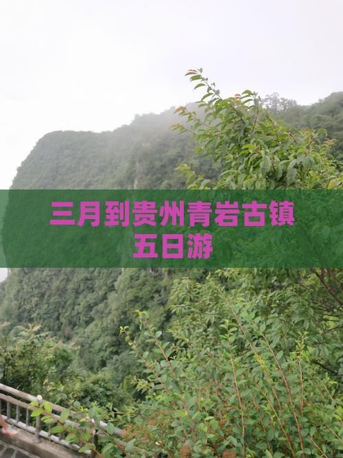 三月到贵州青岩古镇五日游