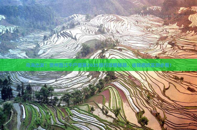乌海到贵州西江千户苗寨旅行社