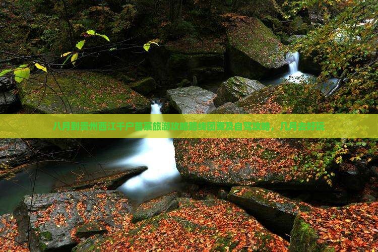 八月到贵州西江千户苗寨旅游