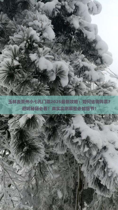 玉林去贵州小七孔门票