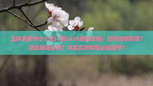 玉林去贵州小七孔门票