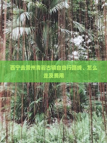 西宁去贵州青岩古镇自由行