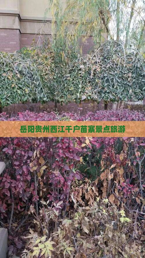 岳阳去贵州西江千户苗寨团体旅游