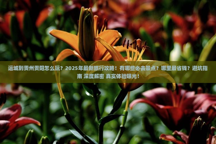 运城到贵州贵阳哪里玩