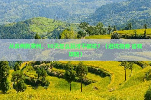 滨州去贵州大型旅游团