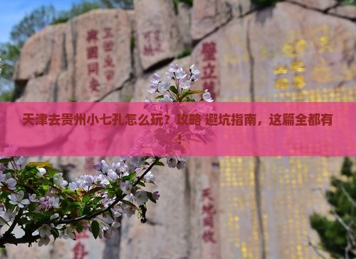 天津去贵州小七孔哪里玩