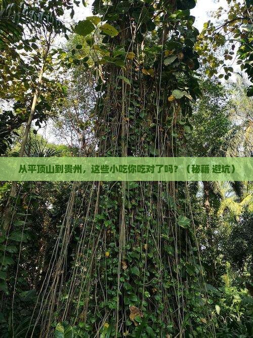 平顶山到贵州旅游小吃