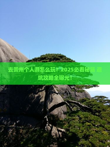 来宾去贵州个人游
