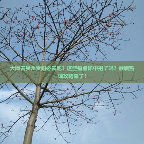 大同去贵州贵阳必去地 大同去贵州贵阳必去地