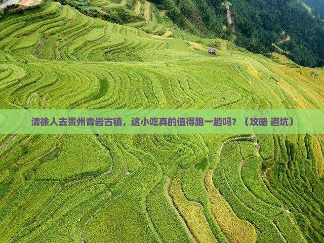 清徐去贵州青岩古镇旅游小吃