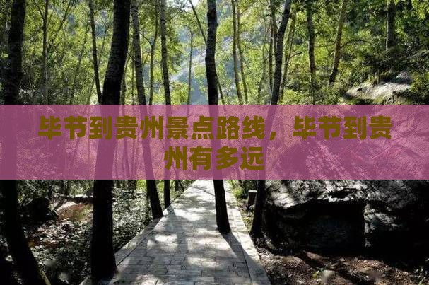 毕节到贵州景点