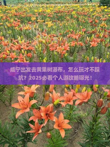 咸宁去贵州黄果树瀑布个人游