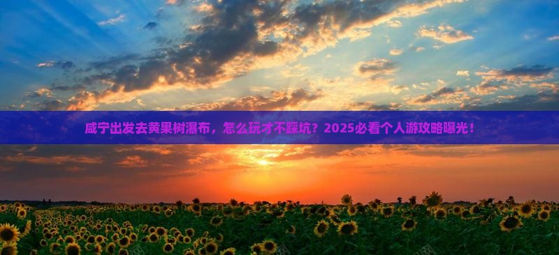 咸宁去贵州黄果树瀑布个人游