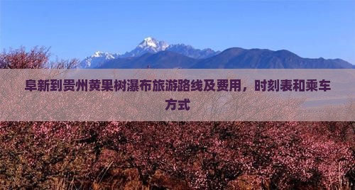 阜新到贵州黄果树瀑布旅游