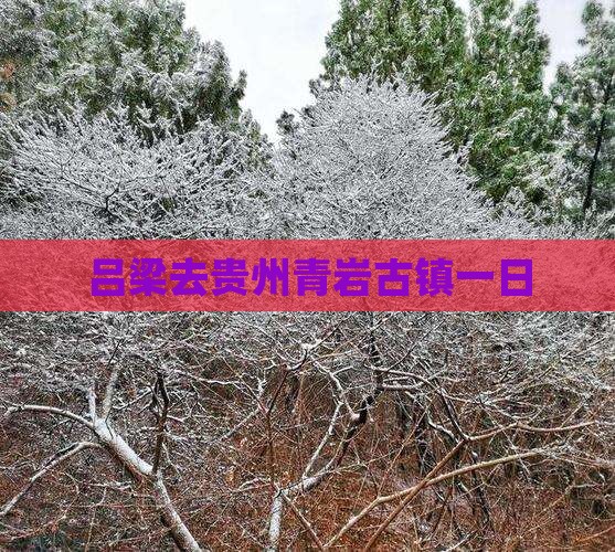 吕梁去贵州青岩古镇一日