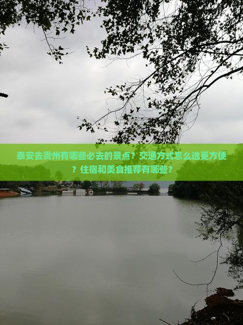 泰安去贵州景点