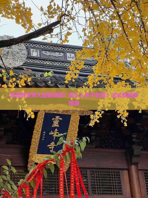 湘西到贵州大型旅游团