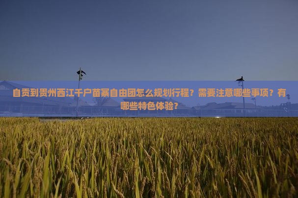 自贡到贵州西江千户苗寨自由团