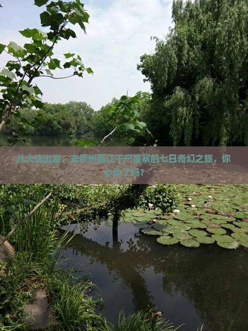 大庆去贵州西江千户苗寨七日游 大庆去贵州西江千户苗寨七日游