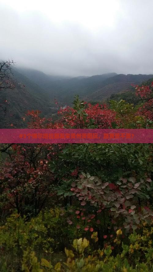博尔塔拉到贵州贵阳旅游