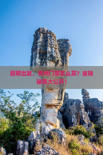 昆明去贵州门票