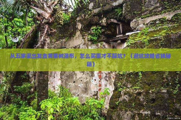 五家渠去贵州黄果树瀑布门票