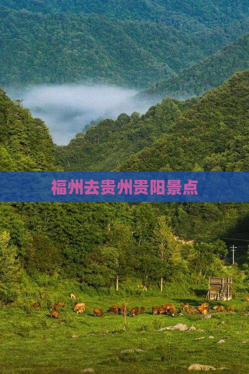 福州去贵州贵阳景点