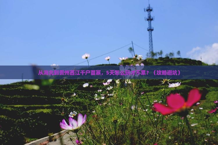 海北到贵州西江千户苗寨攻略