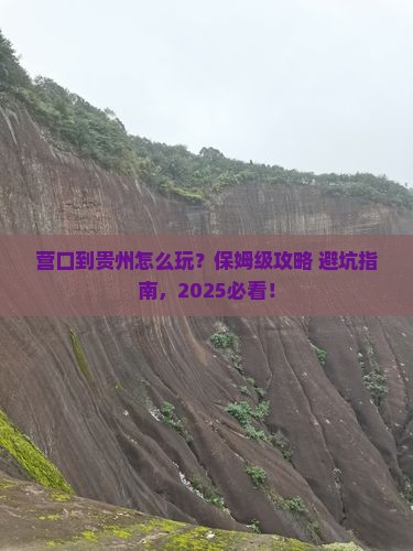 营口到贵州旅行社