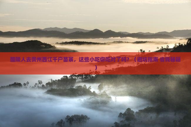 醴陵去贵州西江千户苗寨旅游小吃