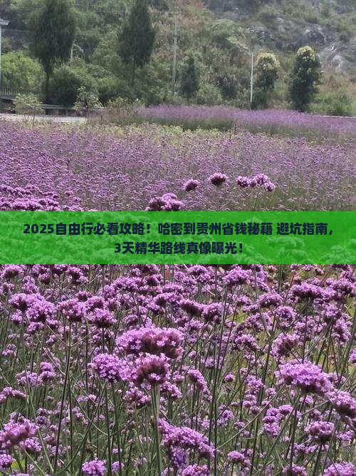 哈密到贵州自由行