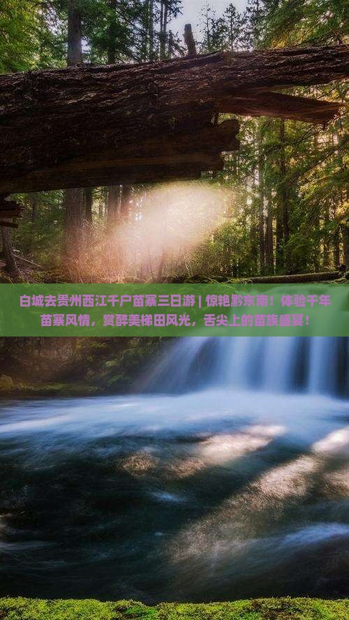 白城去贵州西江千户苗寨三日游