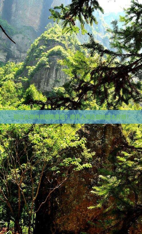 阳江去贵州贵阳哪里玩