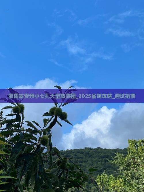 邵阳去贵州小七孔大型旅游团