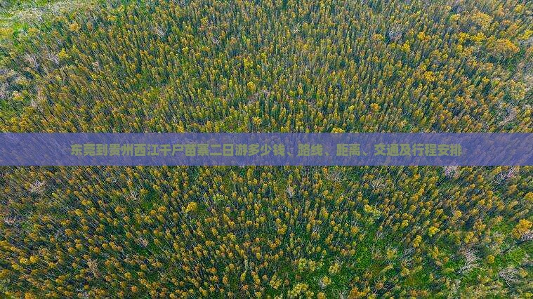 东莞到贵州西江千户苗寨二日游
