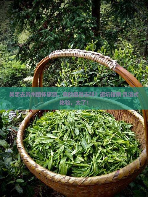 吴忠去贵州团体旅游