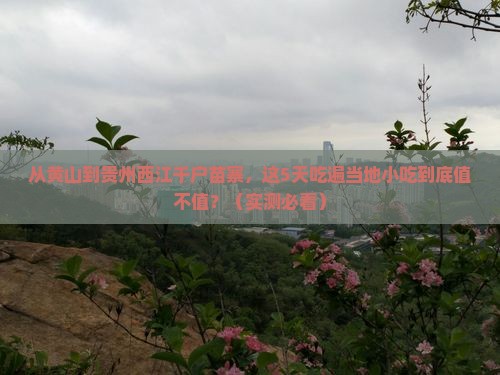 黄山到贵州西江千户苗寨旅游小吃
