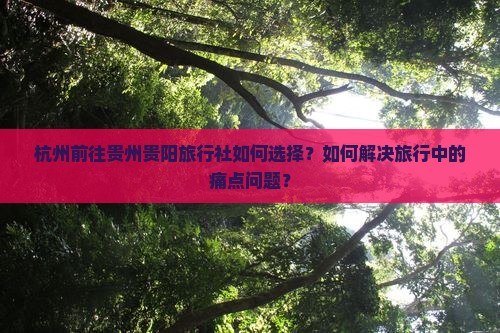 杭州前往贵州贵阳旅行社如何选择？如何解决旅行中的痛点问题？