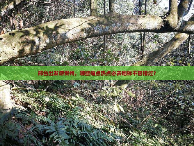 邢台出发游贵州，哪些痛点热点必去地标不容错过？