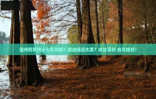 温州到贵州小七孔攻略？路途遥远太累？试试高铁+自驾组合！