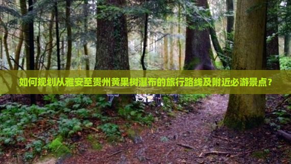 如何规划从雅安至贵州黄果树瀑布的旅行路线及附近必游景点？