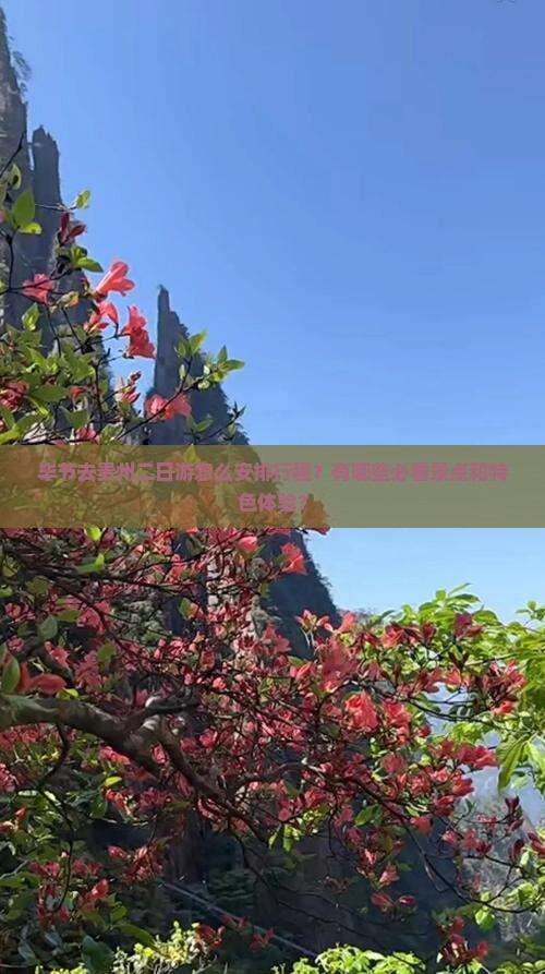 毕节去贵州二日游怎么安排行程？有哪些必看景点和特色体验？