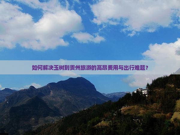 如何解决玉树到贵州旅游的高昂费用与出行难题？